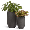 TREEZ Effectory - Stone TREEZ Effectory - Stone