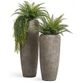 TREEZ Effectory - Volcano TREEZ Effectory - Volcano