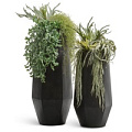 TREEZ Effectory - Crystal TREEZ Effectory - Crystal