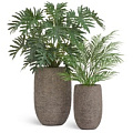 TREEZ Effectory - Terra TREEZ Effectory - Terra