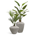 TREEZ Effectory - Moho TREEZ Effectory - Moho