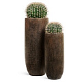 TREEZ Effectory - Metal TREEZ Effectory - Metal