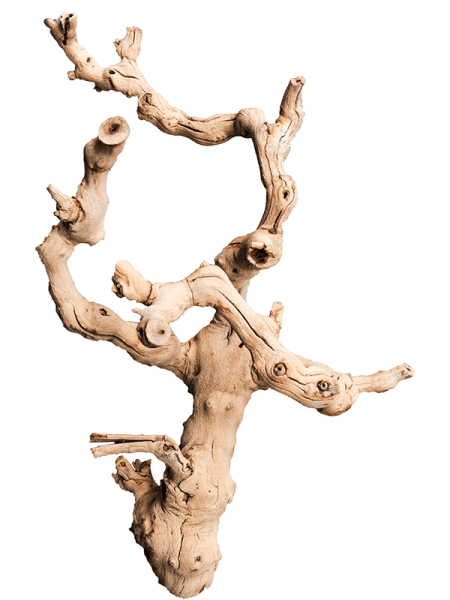 Decoration Branch ×30 см
