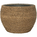 Pottery Pots