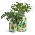 TREEZ Effectory - Savage Garden TREEZ Effectory - Savage Garden