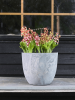 Artstone Бола Горшок Серый D23×20 см