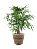 Drypot Rattan Stripe Раунд Серый D33×28 см