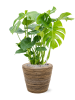 Drypot Rattan Stripe Раунд Серый D38×33.5 см