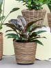 Drypot Rattan Stripe Раунд Серый D38×33.5 см