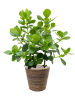 Drypot Rattan Stripe Раунд Серый D38.5×36 см