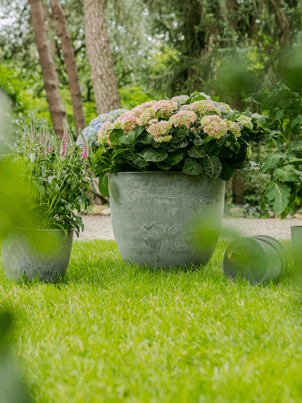 Artstone Бола Горшок Серый D23×20 см