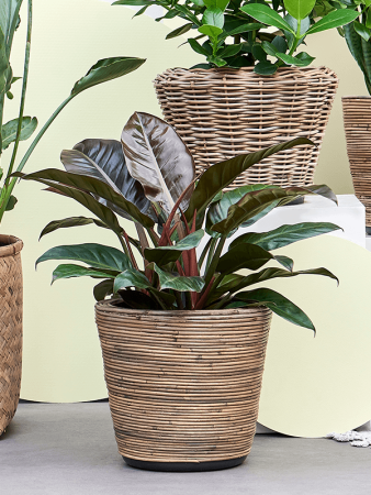 Drypot Rattan Stripe Раунд Серый D38×33.5 см