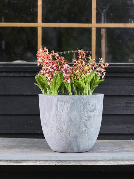 Artstone Бола Горшок Серый D23×20 см