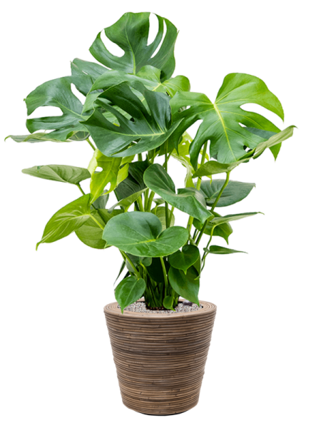Drypot Rattan Stripe Раунд Серый D38.5×36 см