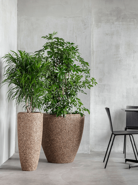 Baq Naturescast Купелла Натуральный D65×65 см