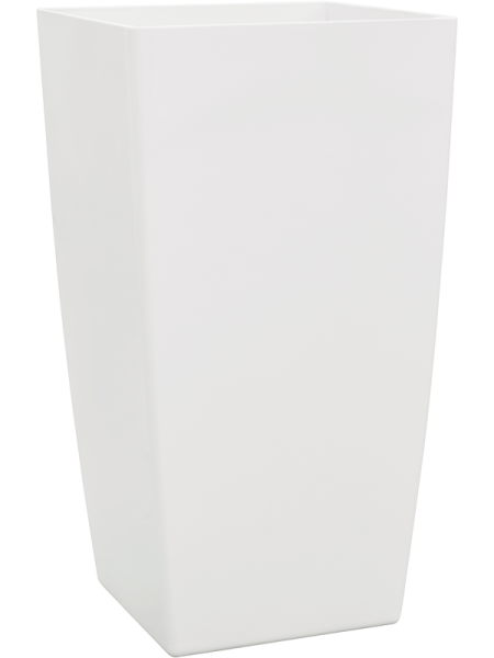 Baq Эколайн Phoenix Обычный Кубис 30×30×56 см
