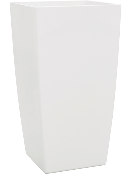 Baq Эколайн Phoenix Обычный Кубис 41×41×76 см